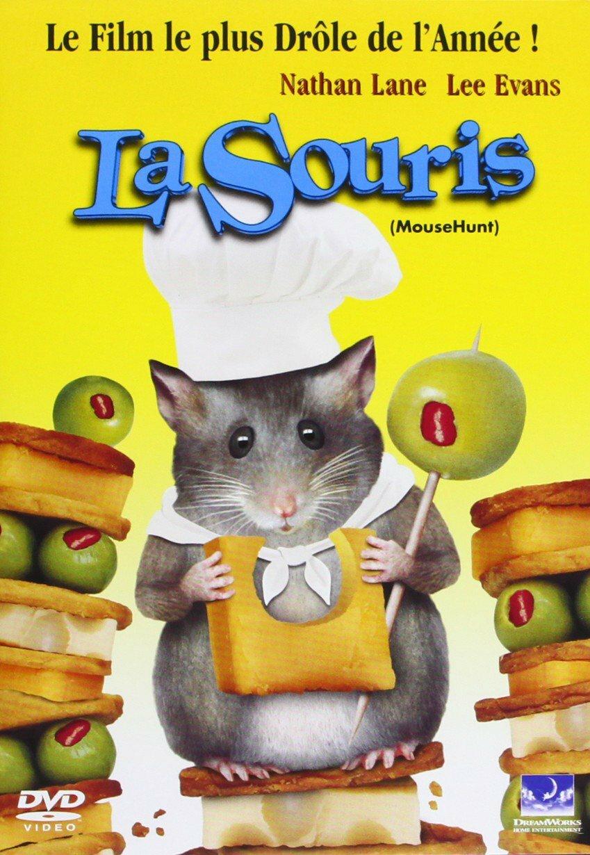 Acheter La Souris Bon état - 15,29 € La Souris Bon état - reconditionné disponible sur Label Emmaüs